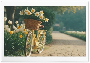 A Nostalgic Scene of a Vintage Bicycle in Spring Ultra HD Wallpaper for 4K UHD Widescreen Desktop, Lockscreen, Screensaver, TV, Tablet, Smartphone