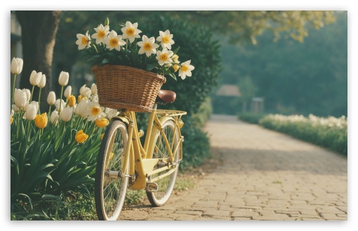 A Nostalgic Scene of a Vintage Bicycle in Spring UltraHD Wallpaper for UHD 16:9 ; HD 16:9 ; UltraWide 21:9 24:10 ; Widescreen 16:10 5:3 ; Fullscreen 4:3 5:4 3:2 ; Tablet 1:1 ; Mobile 9:16 9:19.5 9:20 9:21 9:22 10:16 2:3 3:5 3:4 ;