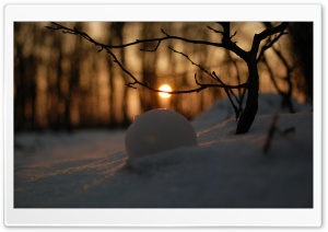 A Snowball In Snow Ultra HD Wallpaper for 4K UHD Widescreen desktop, tablet & smartphone