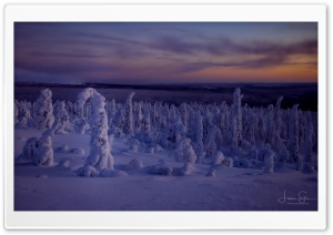 A Winter Landscape at Dusk in Lapland Ultra HD Wallpaper for 4K UHD Widescreen Desktop, Lockscreen, Screensaver, TV, Tablet, Smartphone