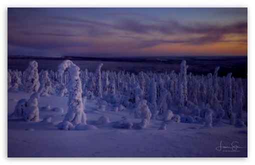 A Winter Landscape at Dusk in Lapland UltraHD Wallpaper for UHD 16:9 ; HD 16:9 ; UltraWide 21:9 24:10 ; Widescreen 16:10 5:3 ; Dual 5:4 ;