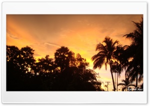 A Wonderful Sunset Ultra HD Wallpaper for 4K UHD Widescreen desktop, tablet & smartphone