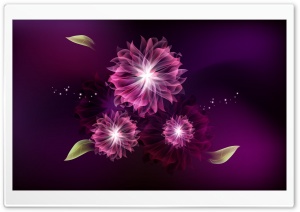 Abstract Flowers Ultra HD Wallpaper for 4K UHD Widescreen desktop, tablet & smartphone
