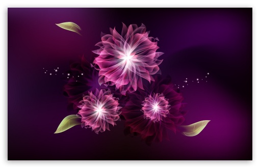 Abstract Flowers Ultra HD Desktop Background Wallpaper for 4K UHD TV ...