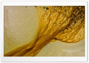 Abstract Golden Beach Aerial View 4K UHD Wallpaper for Widescreen and UltraWide Desktop, UltraHD TV, Smartphone, Tablet