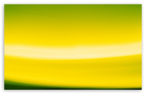 Abstract Yellow And Green UltraHD Wallpaper for Wide 16:10 5:3 Widescreen WHXGA WQXGA WUXGA WXGA WGA ; 8K UHD TV 16:9 Ultra High Definition 2160p 1440p 1080p 900p 720p ; Standard 4:3 5:4 3:2 Fullscreen UXGA XGA SVGA QSXGA SXGA DVGA HVGA HQVGA ( Apple PowerBook G4 iPhone 4 3G 3GS iPod Touch ) ; iPad 1/2/Mini ; Mobile 4:3 5:3 3:2 16:9 5:4 - UXGA XGA SVGA WGA DVGA HVGA HQVGA ( Apple PowerBook G4 iPhone 4 3G 3GS iPod Touch ) 2160p 1440p 1080p 900p 720p QSXGA SXGA ;