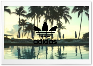 Adidas, Palm Trees Background Ultra HD Wallpaper for 4K UHD Widescreen desktop, tablet & smartphone