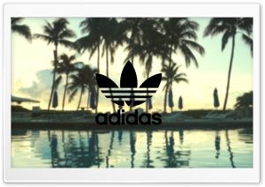 Adidas, Palm Trees Background Ultra HD Wallpaper for 4K UHD Widescreen Desktop, Lockscreen, Screensaver, TV, Tablet, Smartphone