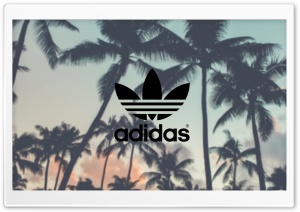 Adidas, Palm Trees Background Ultra HD Wallpaper for 4K UHD Widescreen desktop, tablet & smartphone