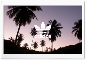 Adidas, Palm Trees Background Ultra HD Wallpaper for 4K UHD Widescreen Desktop, Lockscreen, Screensaver, TV, Tablet, Smartphone