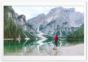 Admiring Nature s Beauty Ultra HD Wallpaper for 4K UHD Widescreen desktop, tablet & smartphone