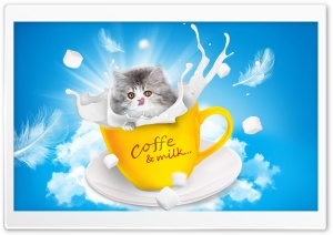 Adorable Kitten Ultra HD Wallpaper for 4K UHD Widescreen desktop, tablet & smartphone