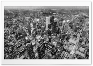 Aerial Photography, Toronto, Black and White Ultra HD Wallpaper for 4K UHD Widescreen desktop, tablet & smartphone