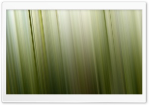 Aero Green 4 Ultra HD Wallpaper for 4K UHD Widescreen desktop, tablet & smartphone