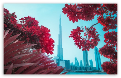 Aesthetic Burj Khalifa, Dubai UltraHD Wallpaper for UHD 16:9 ; HD 16:9 ; UltraWide 21:9 24:10 32:9 32:10 ; Widescreen 16:10 5:3 ; Fullscreen 4:3 5:4 3:2 ; Tablet 1:1 ; Mobile 9:16 9:19.5 9:20 10:16 2:3 3:5 3:4 ; Dual 16:10 5:3 16:9 4:3 5:4 3:2 ;