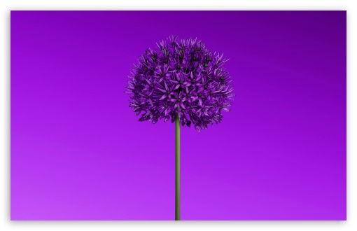 Aesthetic Flower UltraHD Wallpaper for UHD 16:9 ; HD 16:9 ; UltraWide 21:9 24:10 32:9 32:10 ; Widescreen 16:10 5:3 ; Fullscreen 4:3 5:4 3:2 ; Tablet 1:1 ; Mobile 9:16 10:16 2:3 3:5 3:4 ; Dual 16:10 5:3 16:9 4:3 5:4 3:2 ; Triple 4:3 5:4 3:2 ;