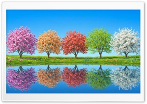 Aesthetic Spring Bloom 4K UHD Wallpaper for Widescreen and UltraWide Desktop, UltraHD TV, Smartphone, Tablet