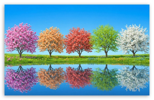 Aesthetic Spring Bloom UltraHD Wallpaper for UHD 16:9 ; HD 16:9 ; UltraWide 21:9 24:10 32:9 32:10 ; Widescreen 16:10 ; Tablet 1:1 ; Dual 16:10 16:9 ;