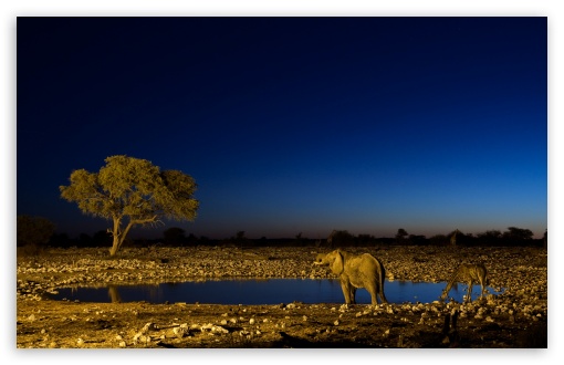 African Elephants UltraHD Wallpaper for 8K UHD TV 16:9 Ultra High Definition 2160p 1440p 1080p 900p 720p ; Widescreen 16:10 5:3 WHXGA WQXGA WUXGA WXGA WGA ; Fullscreen 4:3 5:4 3:2 UXGA XGA SVGA QSXGA SXGA DVGA HVGA HQVGA ( Apple PowerBook G4 iPhone 4 3G 3GS iPod Touch ) ; Tablet 1:1 ; Mobile 3:5 3:4 - ; Dual 16:10 4:3 5:4 WHXGA WQXGA WUXGA WXGA UXGA XGA SVGA QSXGA SXGA ;