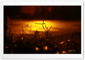 After Night Rain Ultra HD Wallpaper for 4K UHD Widescreen desktop, tablet & smartphone