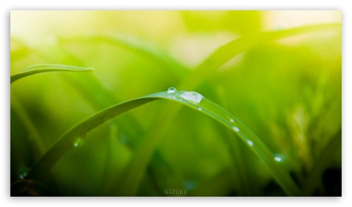 After The Rain UltraHD Wallpaper for 8K UHD TV 16:9 Ultra High Definition 2160p 1440p 1080p 900p 720p ; Mobile 16:9 - 2160p 1440p 1080p 900p 720p ;