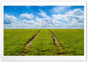 Agriculture Field Springtime Ultra HD Wallpaper for 4K UHD Widescreen desktop, tablet & smartphone
