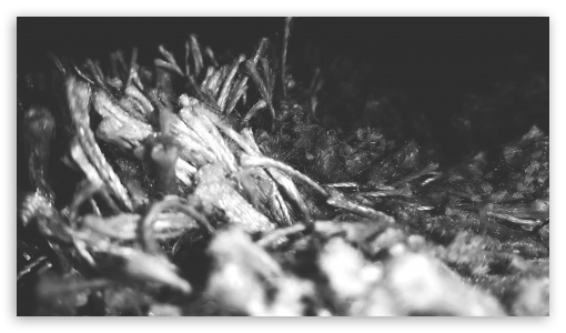 alfombra grey UltraHD Wallpaper for HD 16:9 ;