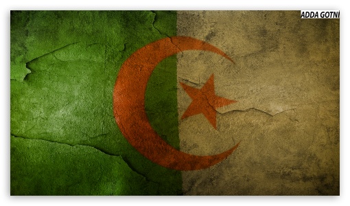 Algerian flag, 4k, grunge, flag of Algeria, Africa, Algeria, national  symbols, Algeria national flag | Bayrak