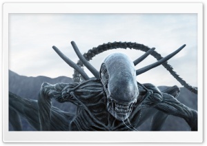 Alien Covenant Alien Ultra HD Wallpaper for 4K UHD Widescreen desktop, tablet & smartphone