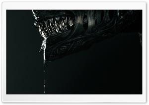Alien Romulus 2024 Sci-fi Movie Ultra HD Wallpaper for 4K UHD Widescreen desktop, tablet & smartphone