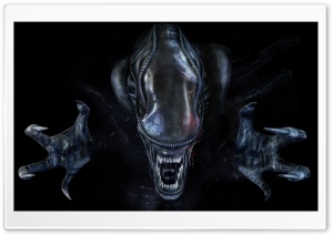 Aliens Colonial Marines 2013 Ultra HD Wallpaper for 4K UHD Widescreen desktop, tablet & smartphone