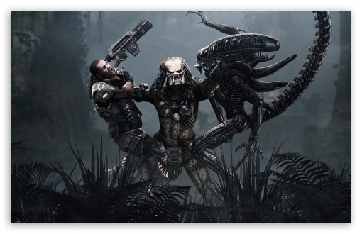 AvP Movie Wallpaper - Alien vs. Predator Galaxy