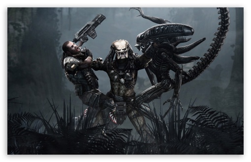 Aliens vs predator computer background - Cool , Alien Predator HD