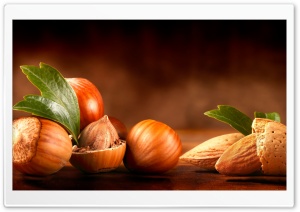 Almond Leaves Nuts Ultra HD Wallpaper for 4K UHD Widescreen Desktop, Lockscreen, Screensaver, TV, Tablet, Smartphone