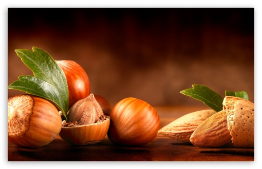 Almond Leaves Nuts UltraHD Wallpaper for HD 16:9 ; Widescreen 16:10 5:3 ;