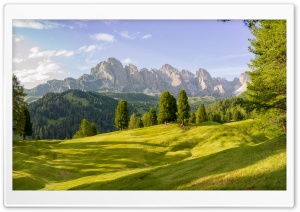 Alpine Meadow Ultra HD Wallpaper for 4K UHD Widescreen desktop, tablet & smartphone
