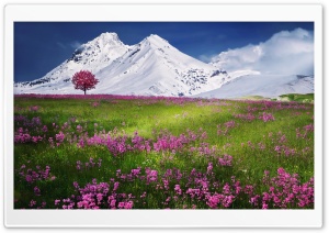 Amazing Ultra HD Wallpaper for 4K UHD Widescreen desktop, tablet & smartphone