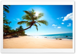 AMAZING NATURE Ultra HD Wallpaper for 4K UHD Widescreen desktop, tablet & smartphone