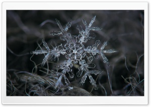 Amazing Real Snowflake Macro Ultra HD Wallpaper for 4K UHD Widescreen desktop, tablet & smartphone