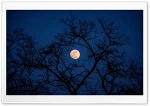 Amazing Shot of the Moon in Beijing Ultra HD Wallpaper for 4K UHD Widescreen desktop, tablet & smartphone