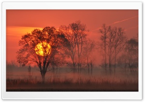 Amazing Sunrise, Mist, Red Sky 4K UHD Wallpaper for Widescreen and UltraWide Desktop, UltraHD TV, Smartphone, Tablet