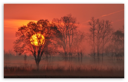 Amazing Sunrise, Mist, Red Sky UltraHD Wallpaper for UHD 16:9 ; HD 16:9 ; UltraWide 21:9 24:10 ; Widescreen 16:10 5:3 ; Fullscreen 4:3 5:4 3:2 ; Tablet 1:1 ; Mobile 10:16 2:3 3:4 ;