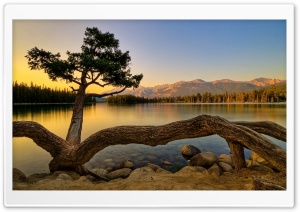 Amazing View Of Lake Ultra HD Wallpaper for 4K UHD Widescreen desktop, tablet & smartphone