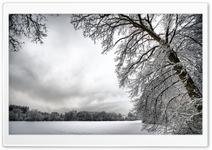 Amazing Winter Landscape Ultra HD Wallpaper for 4K UHD Widescreen desktop, tablet & smartphone