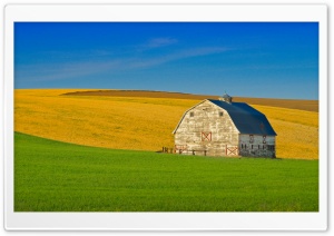 American Barn, Farm Field, Palouse, Washington 4K UHD Wallpaper for Widescreen and UltraWide Desktop, UltraHD TV, Smartphone, Tablet