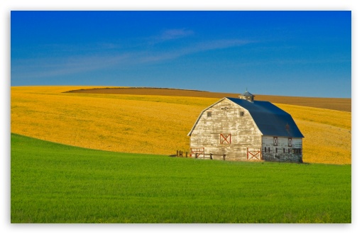 American Barn, Farm Field, Palouse, Washington UltraHD Wallpaper for UHD 16:9 ; HD 16:9 ; UltraWide 21:9 24:10 32:9 32:10 ; Widescreen 16:10 ; Tablet 1:1 ; Mobile 9:16 ; Dual 16:10 16:9 ;