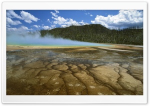 American Bison Yellowstone National Park Montana Ultra HD Wallpaper for 4K UHD Widescreen desktop, tablet & smartphone