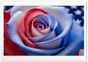 American Flag Rose Ultra HD Wallpaper for 4K UHD Widescreen desktop, tablet & smartphone