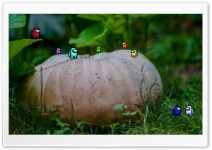 Among Us Astronaut Pumpkin Ultra HD Wallpaper for 4K UHD Widescreen desktop, tablet & smartphone