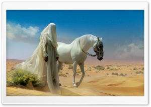 An Oriental Woman in White, with a Veil Covering her Face, is Walking with Her Horse in the Desert Ultra HD Wallpaper for 4K UHD Widescreen Desktop, Lockscreen, Screensaver, TV, Tablet, Smartphone